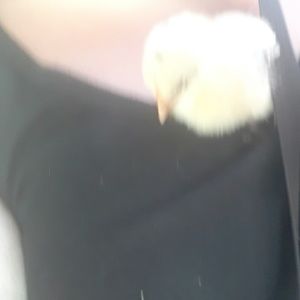 Meet your Posher, Bethany